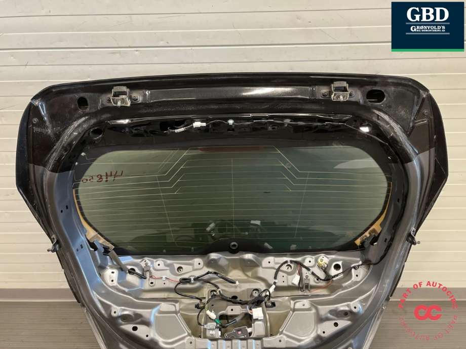 Bakluke til Nissan Leaf 2018-->> (Type II)  (K01005SHAB|)