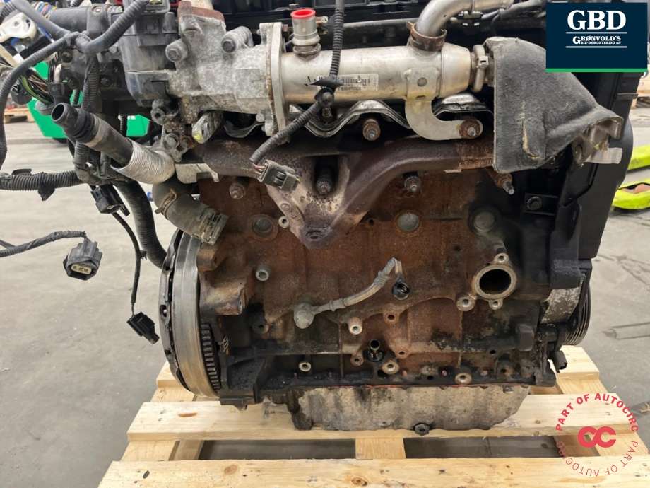 Motor diesel til Ford Kuga 2008-2012 (Type I)  (G6DG|1516648|)