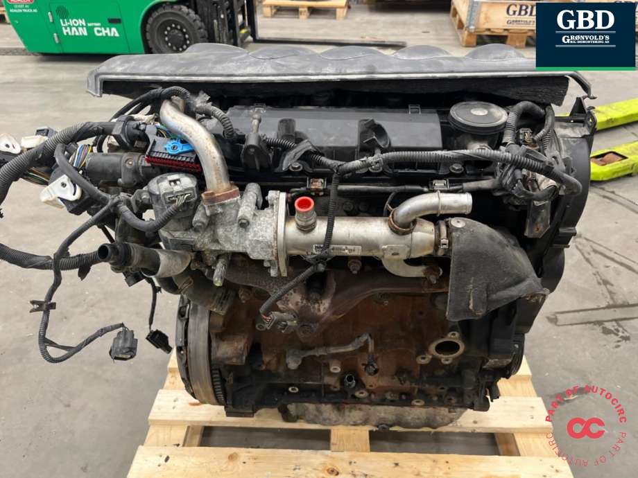 Motor diesel til Ford Kuga 2008-2012 (Type I)  (G6DG|1516648|)
