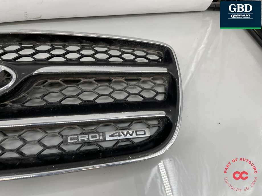 Grill til Hyundai Santa Fe 2006-2009 (Type II, Fase 1)  (86560 2B010|)
