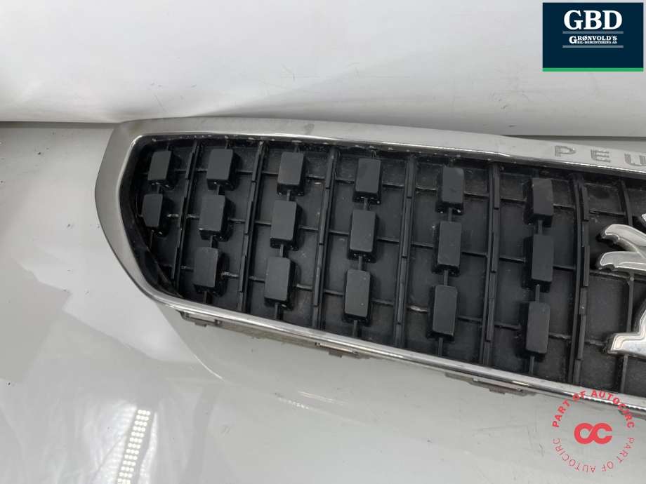 Grill til Peugeot Expert 2016-->> (Type III)  (98 117 104 XT|)