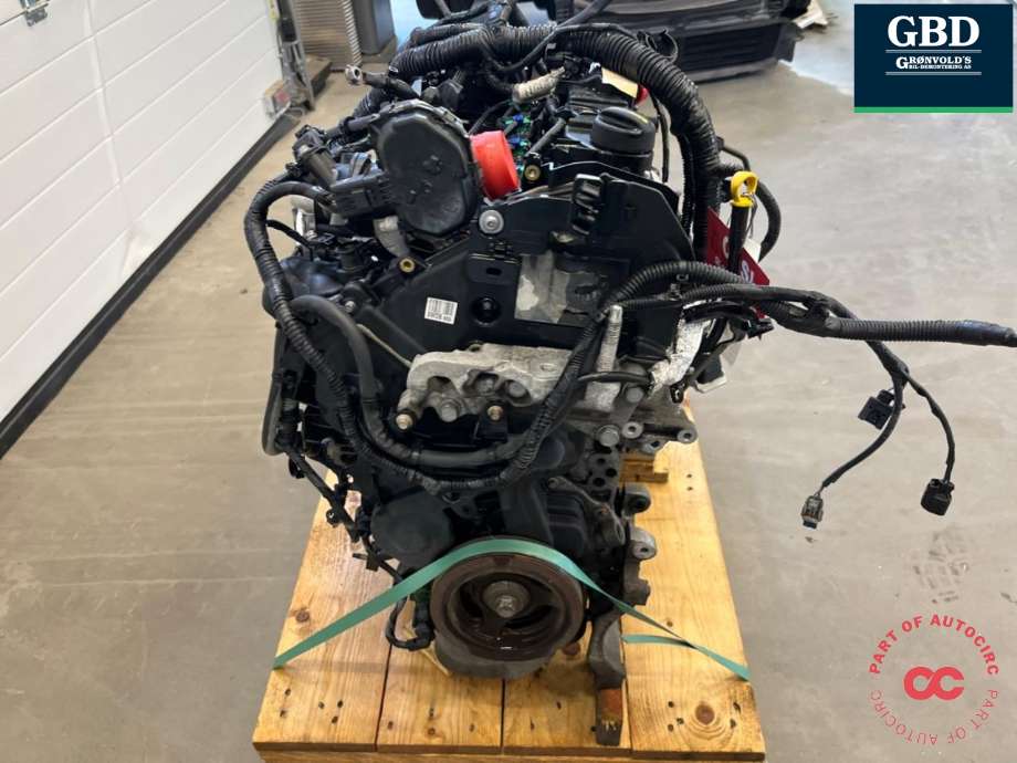 Motor diesel til Ford Focus 2014-2018 (Type III, Fase 2) (XWDB|2165194| 2028442|FM5Q-6006-DB)