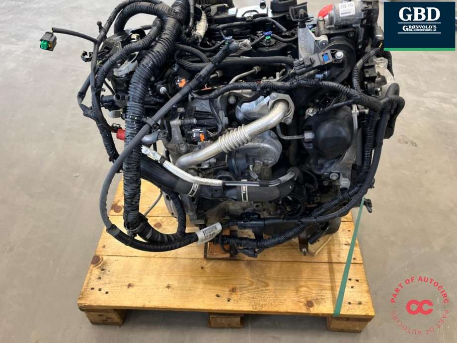 Motor diesel til Ford Focus 2014-2018 (Type III, Fase 2) (XWDB|2165194| 2028442|FM5Q-6006-DB)