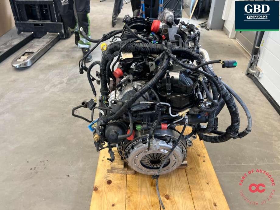 Motor diesel til Ford Focus 2014-2018 (Type III, Fase 2) (XWDB|2165194| 2028442|FM5Q-6006-DB)