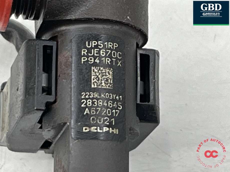 Dyse innsprøyting diesel til SsangYong Rexton W 2014-2017 (Y290) (Y290) (6720170021|)