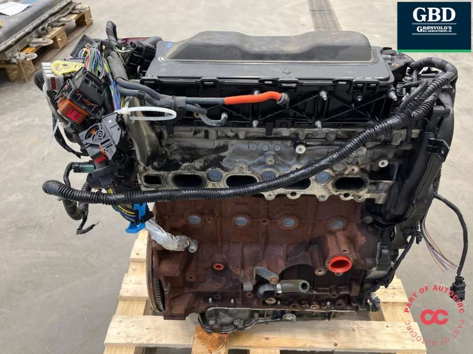 Motor diesel til Ford Kuga 2013-2019  (UFMA|1854467|AV4Q-6006-AD)