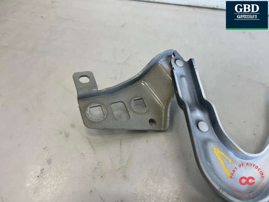 Panserhengsler til Tesla Model Y 2021-2024 (Type I)  (1496267-00-C|1496267-00-B|)