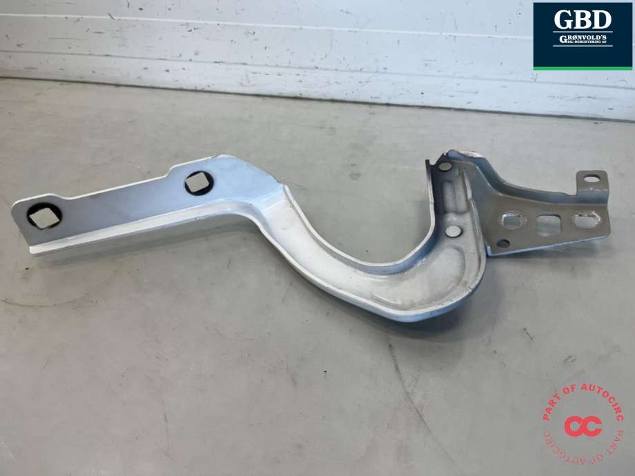 Panserhengsler til Tesla Model Y 2021-2024 (Type I) (1496268-00-C|1496268-00-B|)