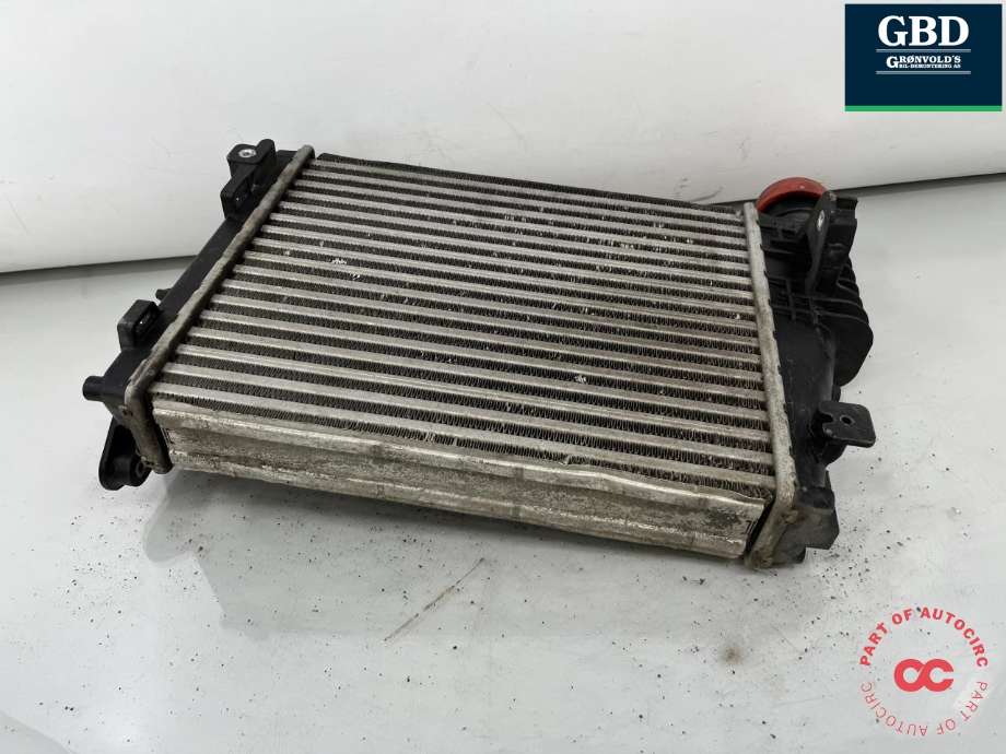 Intercooler til Peugeot Expert 2016-->> (Type III) (98 065 621 80|)