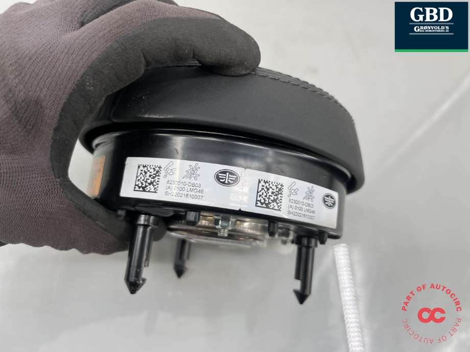 Airbag rattpute til Hongqi E-HS9 2022-->>  (8230010DB03H003|)