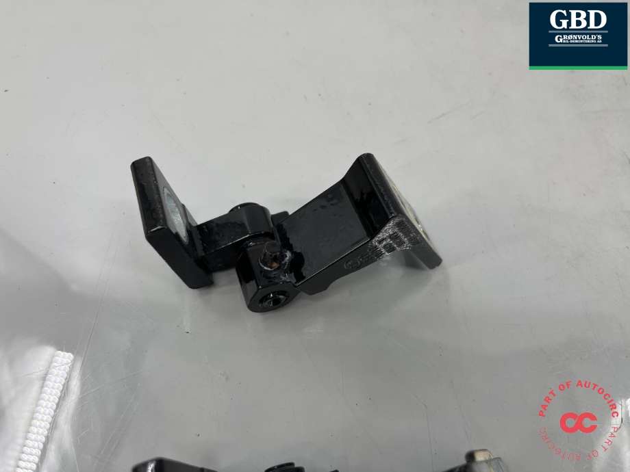 Dørhengsel venstre bak til Hongqi E-HS9 2022-->> (6206015QR01|6206035QR01|)