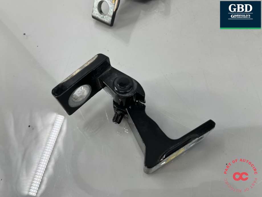 Dørhengsel venstre bak til Hongqi E-HS9 2022-->> (6206015QR01|6206035QR01|)