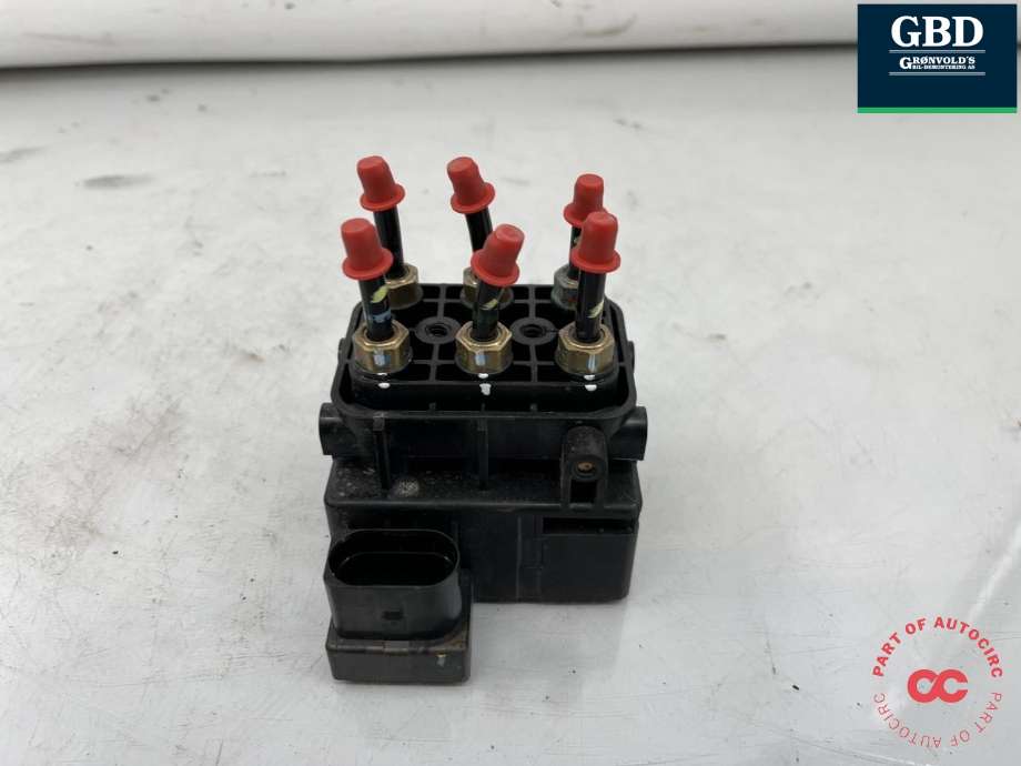 Ventilblokk luftfjæring til Hongqi E-HS9 2022-->> (2941325QR01|)