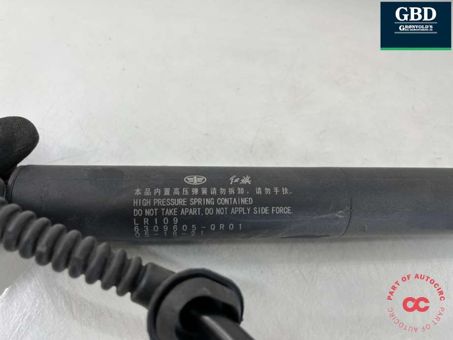 Baklukedemper venstre til Hongqi E-HS9 2022-->> (6309605QR01100|6309605-QR01|)