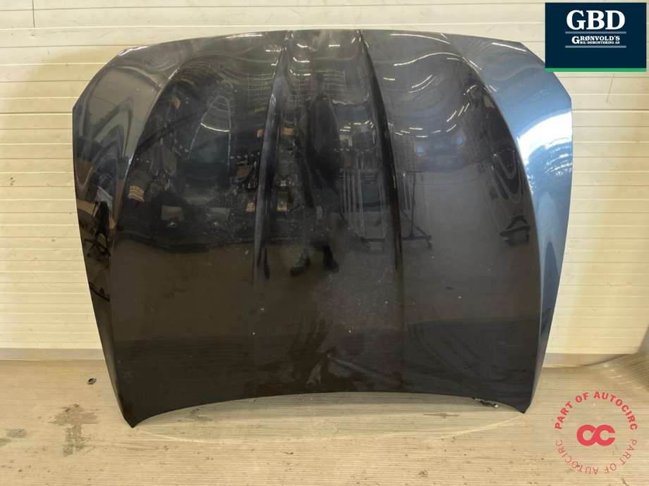 Panser til BMW 5-Serie, 2010-2017 (F10/F11) (F10/F11) (41 61 7 207 194)