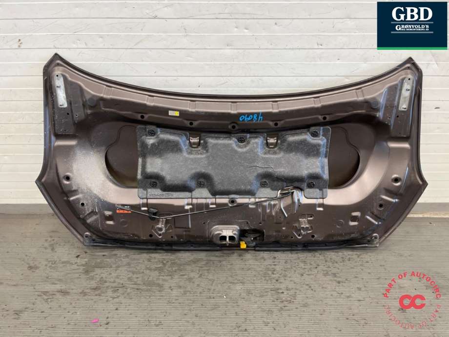 Panser til Nissan Leaf 2018-->> (Type II)  (F51005SHMA|)