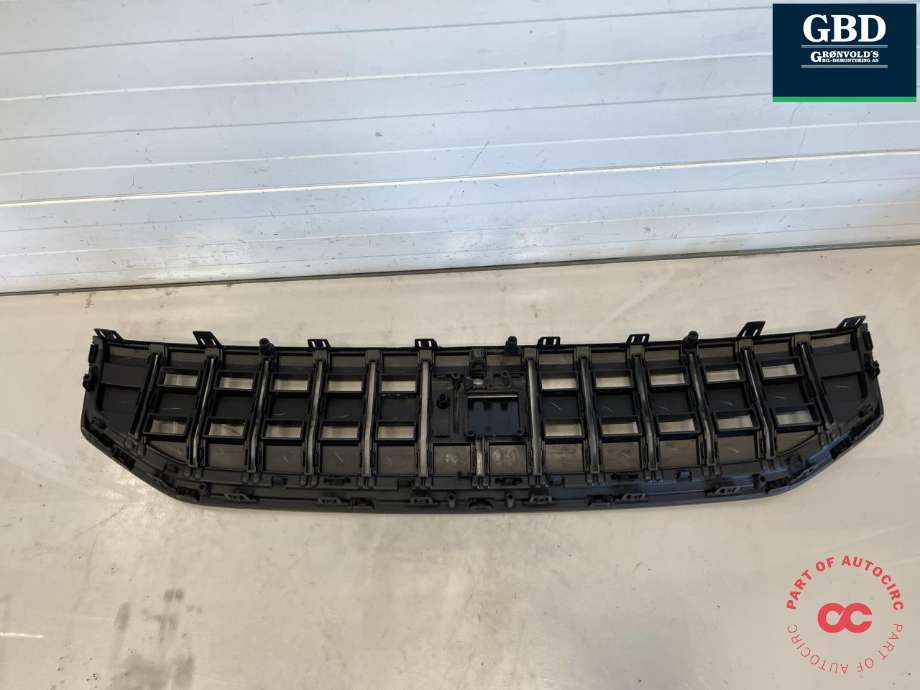 Grill til Polestar 2 2020-->>  (40011193|)