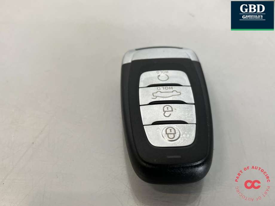 Nøkkel til Hongqi E-HS9 2022-->>  (NO PART ID|)