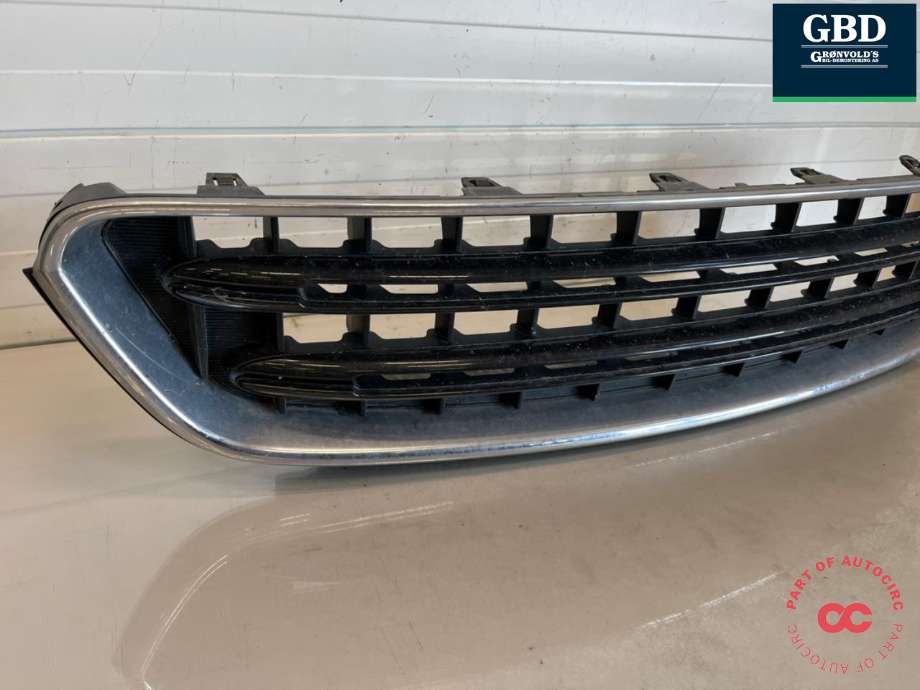 Grill til Mini Countryman 2010-2016 (R60) (R60)
