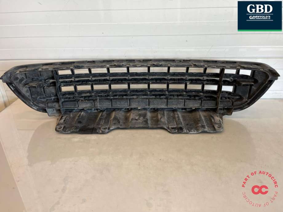 Grill til Mini Countryman 2010-2016 (R60) (R60)