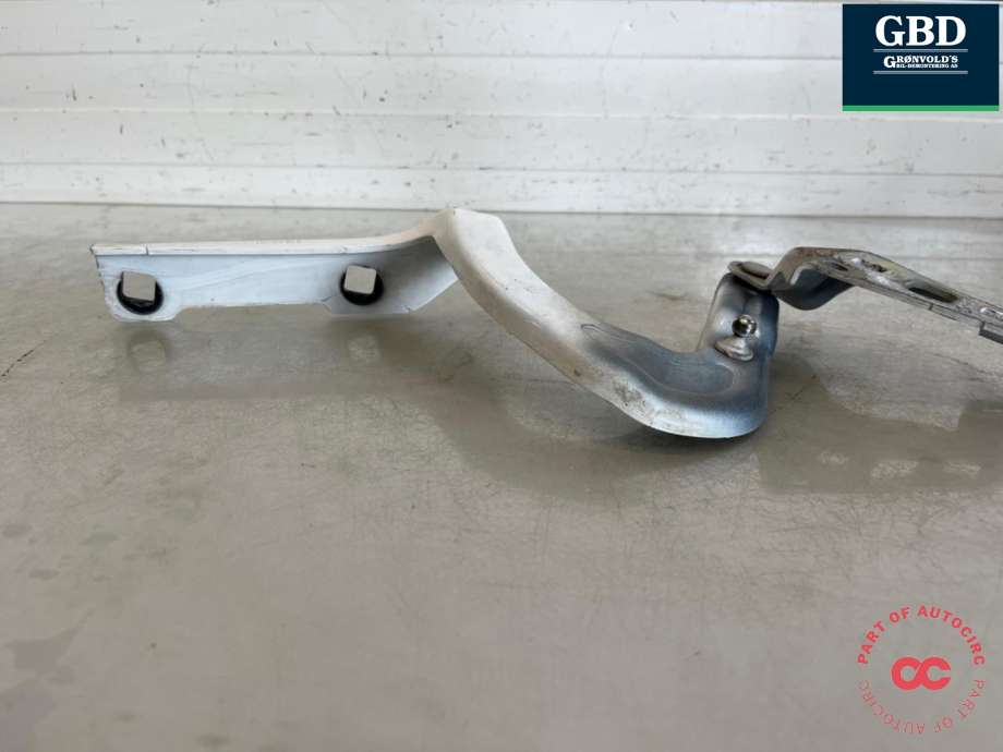 Panserhengsler til Tesla Model Y 2021-2024 (Type I)  (1496267-00-C|)