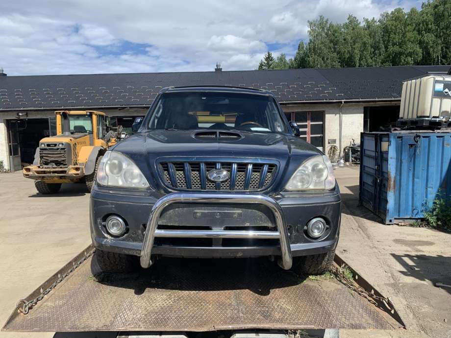 Hyundai Terracan, 2002-2007  delebil 