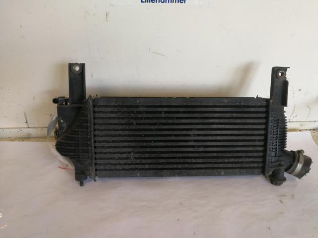 Intercooler til Nissan Pathfinder 2005-2010 (Fase 1) (R51) (R51) 
