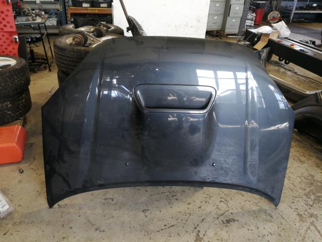 Panser til Toyota RAV4, 2000-2006 (Type II)  