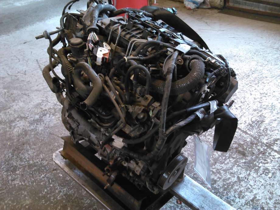 Motor diesel til Ford Focus 2008-2010 (Type II, Fase 2)  