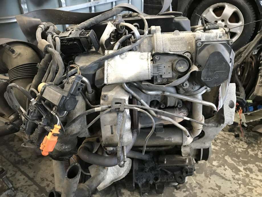 Motor diesel til Škoda Octavia 2009-2013 (Type II, Fase 2)  (BLS|)