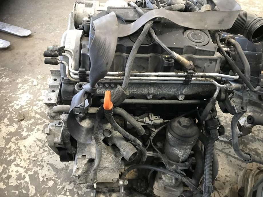 Motor diesel til Škoda Octavia 2009-2013 (Type II, Fase 2)  (BLS|)