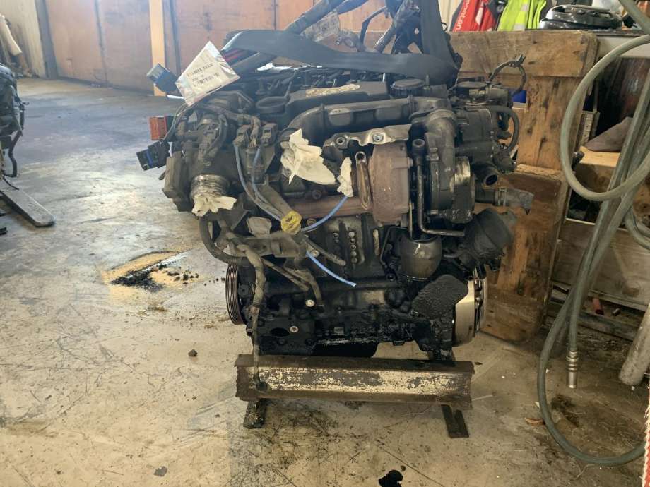 Motor diesel til Ford Focus 2008-2010 (Type II, Fase 2)  