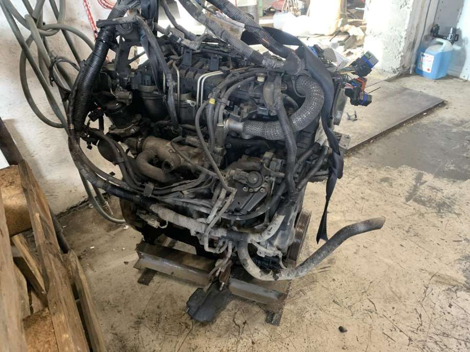 Motor diesel til Ford Focus 2008-2010 (Type II, Fase 2)  
