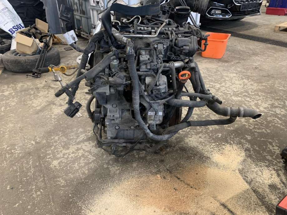 Motor diesel til VW Polo 2009-2014 (Type V, Fase 1)  