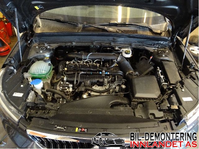 Volvo XC40 2018-2024 , Motorkode: D4204T16, Girkassekode: 8-AUT 4WD / TG-81SC