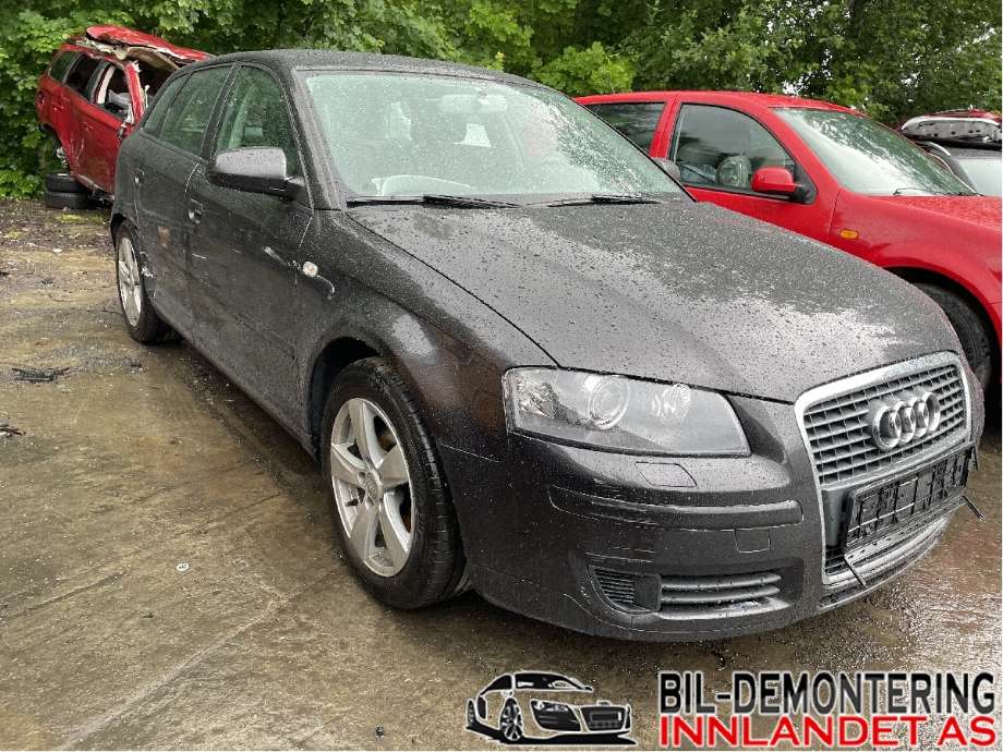 Audi A3 2003-2008 (Type II, Fase 1) , Motorkode: BKC;BLS, Girkassekode: