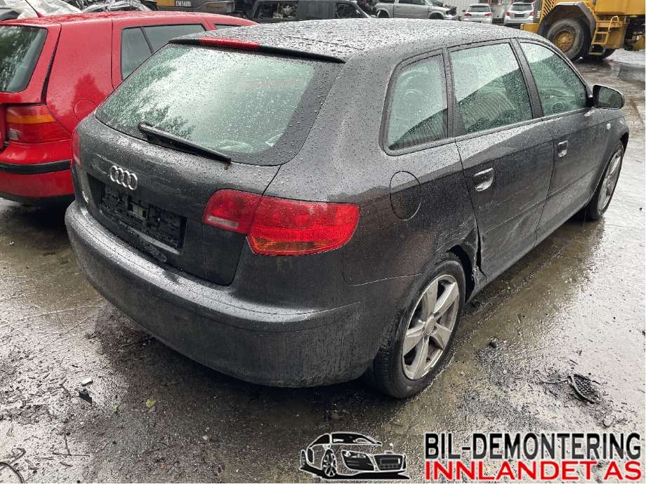 Audi A3 2003-2008 (Type II, Fase 1) , Motorkode: BKC;BLS, Girkassekode: