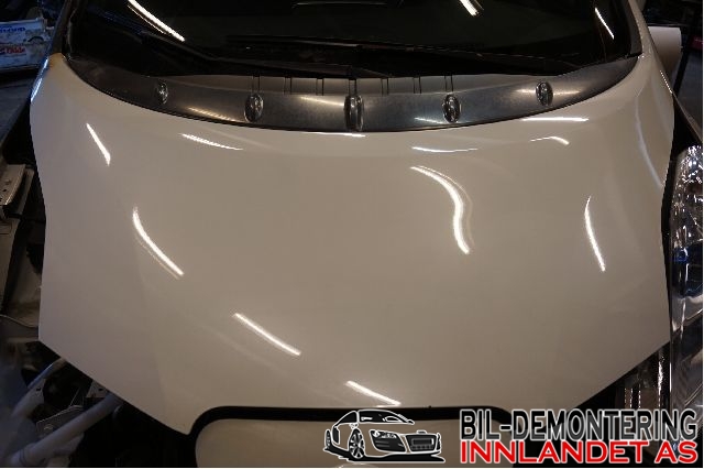 Panser til Nissan Leaf, 2011-2017 (Type I)  (NISSAN|)