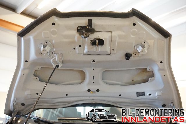 Panser til Nissan Leaf 2011-2017 (Type I)  (NISSAN|)