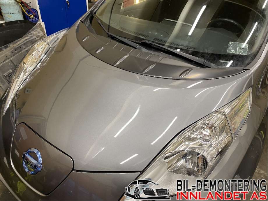 Panser til Nissan Leaf 2011-2017 (Type I)  (NISSAN|F51003NLMA|)