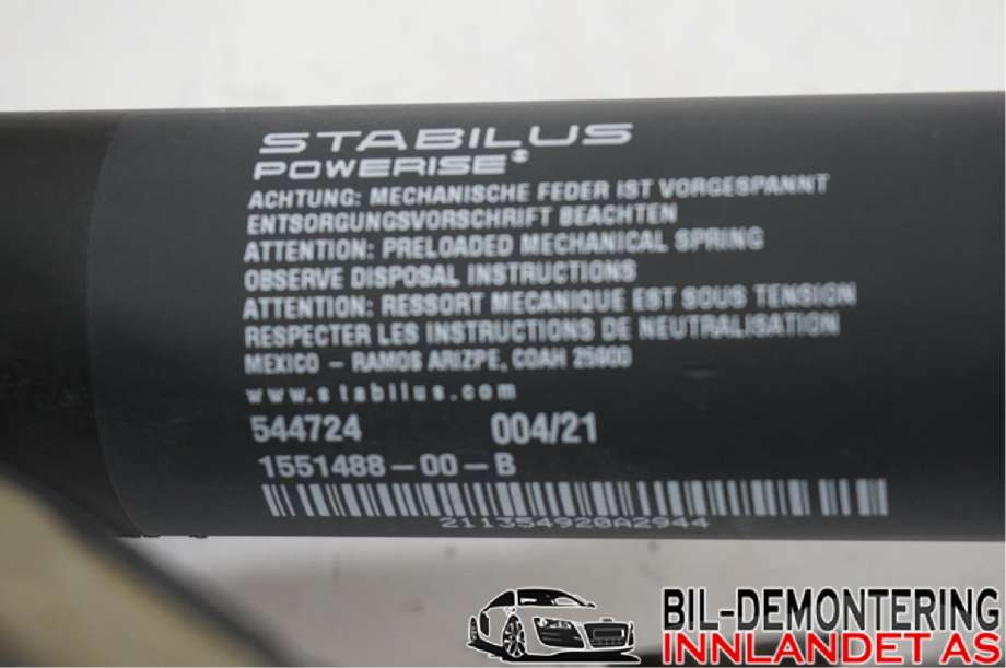 Hengsler til Tesla Model 3 2018-2023 (Fase 1)  (TESLA||1551482-00-D|1551488-00-B)