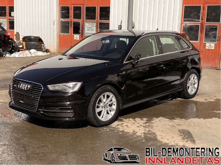 Airbag gardin venstre til Audi A3, 2012-2016 (Type III, Fase 1) (AUDI|8V4 880 741 D)