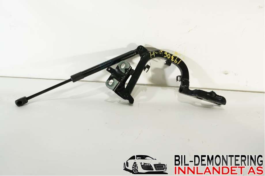 Hengsler til BMW i3, 2013-2022  (BMW|51 24 7 296 774)