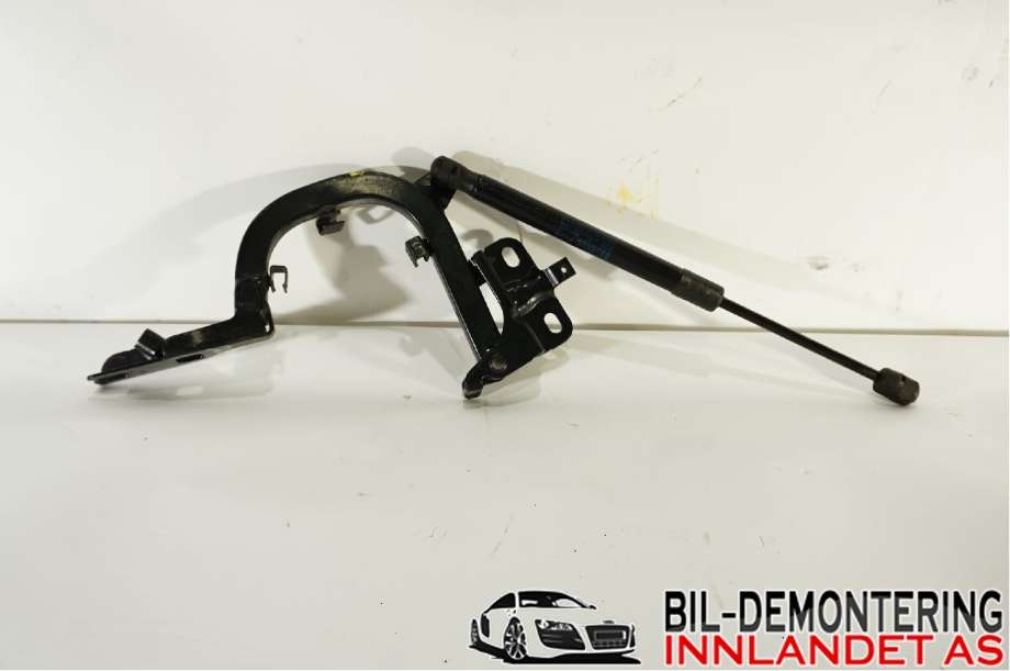Hengsler til BMW i3 2013-2022  (BMW|51 24 7 296 774|)