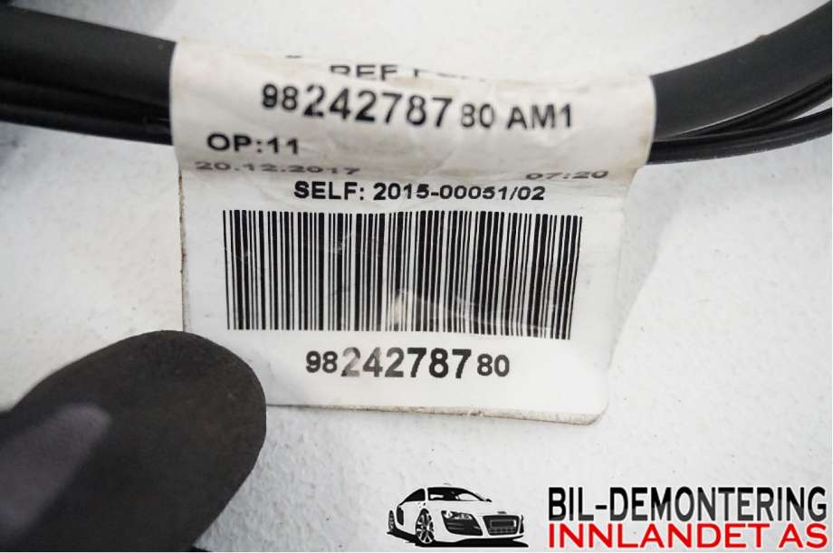 Ledningsnett til Peugeot 3008 2016-->> (Type II) (98 210 182 80|9824278780|98 210182 80)