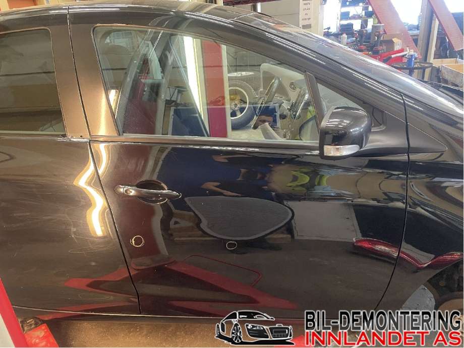 Dør høyre foran til Renault Zoe, 2013-2019 (Fase 1)  (RENAULT|801003119R)