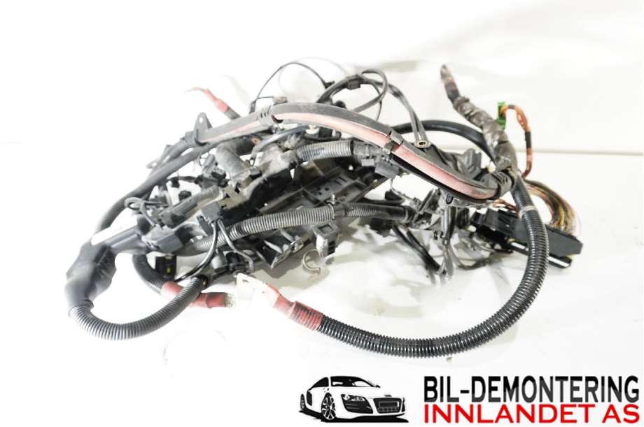 Ledningsnett til BMW 3-Serie, 2012-2018 (F30/F31/F34) (F30/F31/F34) (BMW|12 51 8 586 169)
