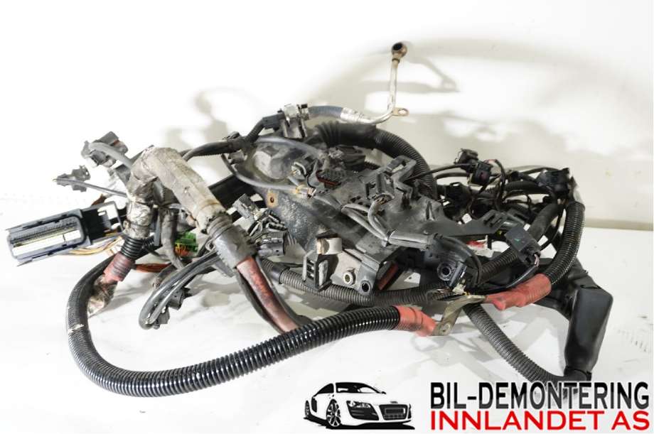 Ledningsnett til BMW 3-Serie 2012-2018 (F30/F31/F34) (F30/F31/F34) (BMW|12 51 8 586 169|)