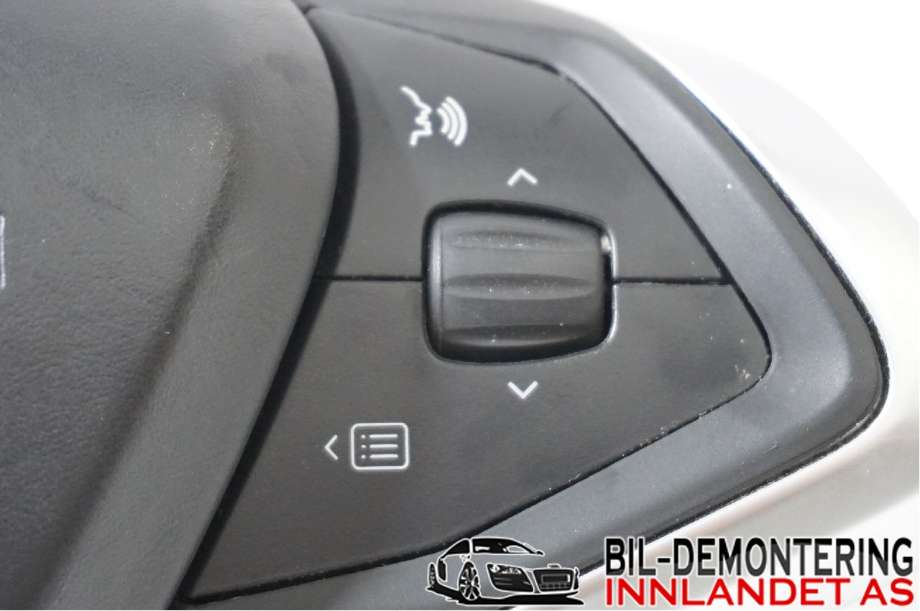 Airbag rattpute til Tesla Model S 2013-2016 (Fase 1)  (TESLA|1456168-S1-D|)