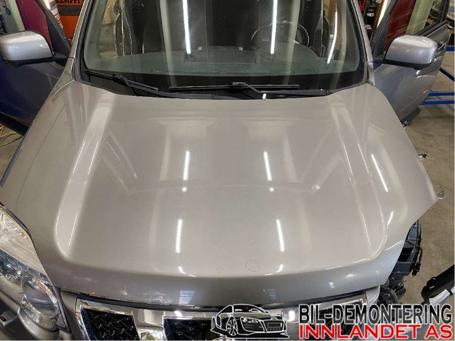 Panser til Nissan X-Trail, 2007-2014 (T31) (T31) (NISSAN|F5100JG0MM)
